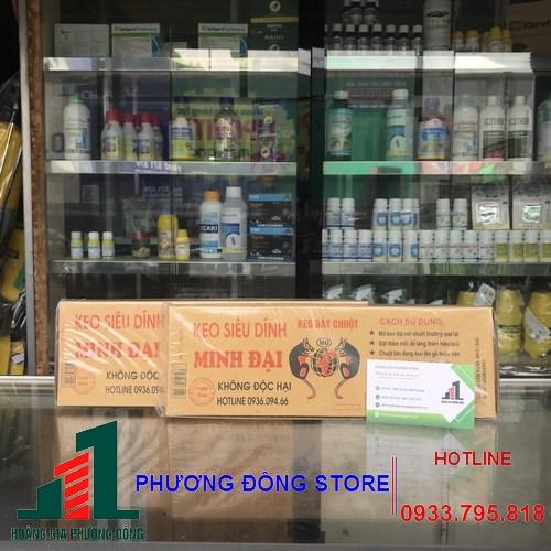 Keo dính chuột hộp giấy